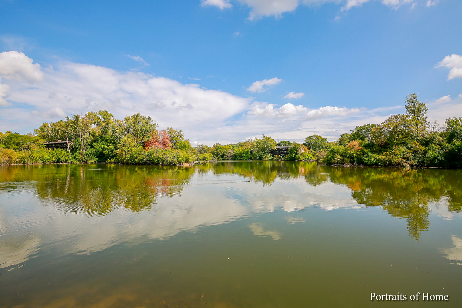 5501 Lakeside Drive, Unit 3B Lisle, IL 60532 - Photo 12 of 14