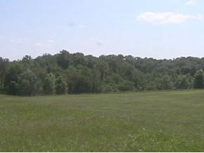 9992 West Carter Road Bloomington, IN 47403 - Photo 19 of 21