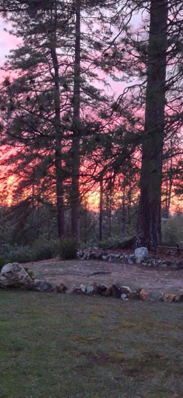 12336 Scott Road Mountain Ranch, CA 95246 - Photo 76 of 80