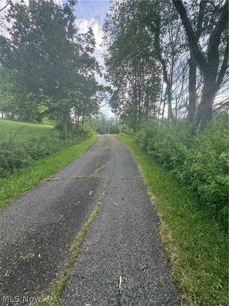 72260 Colerain Road Bridgeport, OH 43912 - Photo 16 of 19 View of road