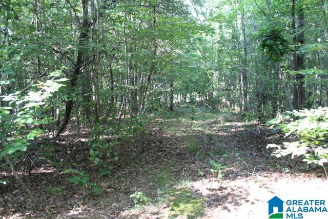 1 Benefield Gap Road Attalla, AL 35954 - Photo 29 of 50