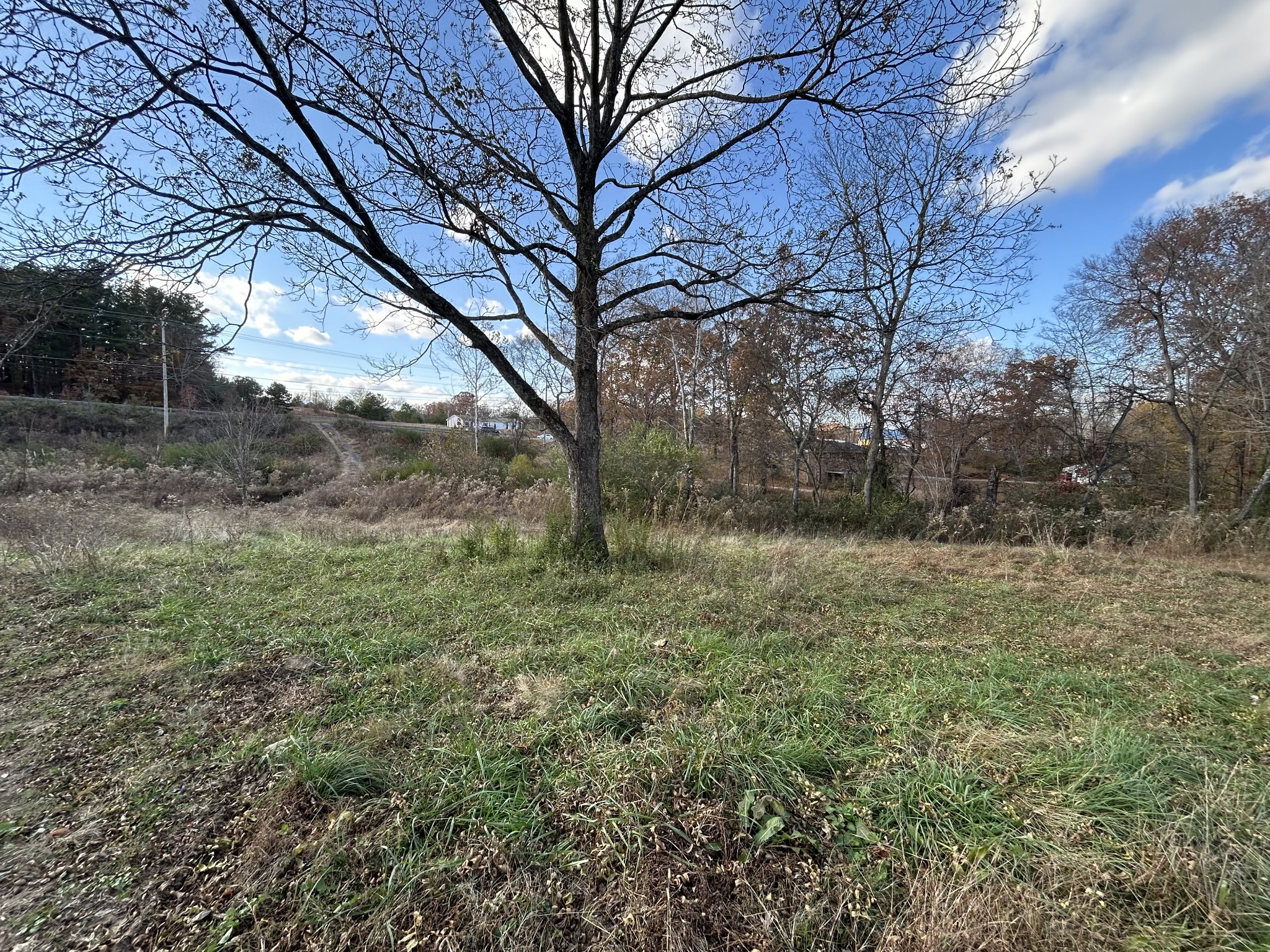 3257 Highway 46 Dickson, TN 37055 - Photo 1 of 3 a view of a yard