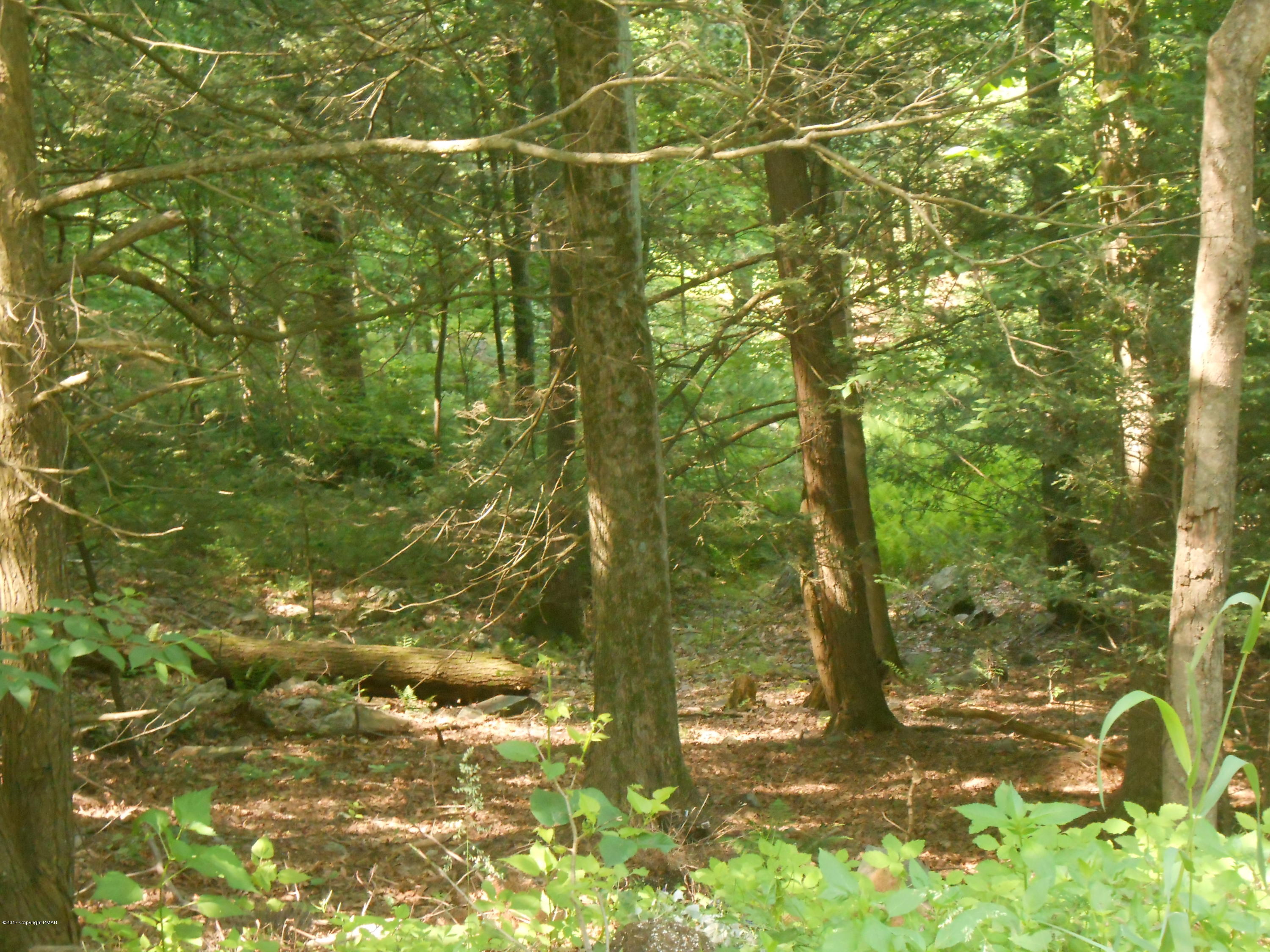 52 Logger Road Canadensis, PA 18325 - Photo 1 of 9 DSCN0368