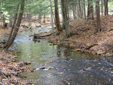 52 Logger Road Canadensis, PA 18325 - Photo 6 of 9 Stream
