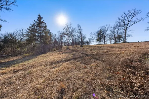 $24,500 | Brushy Fork Road, Iberia, MO 65486