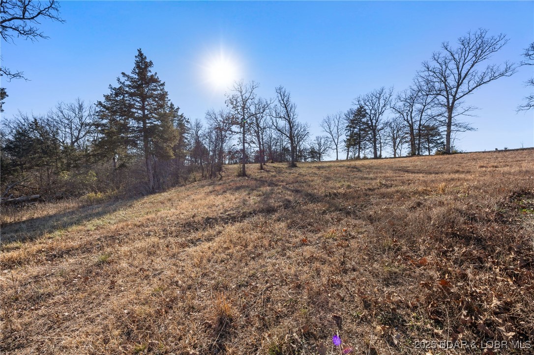 Brushy Fork Road Iberia, MO 65486 - Photo 11 of 12