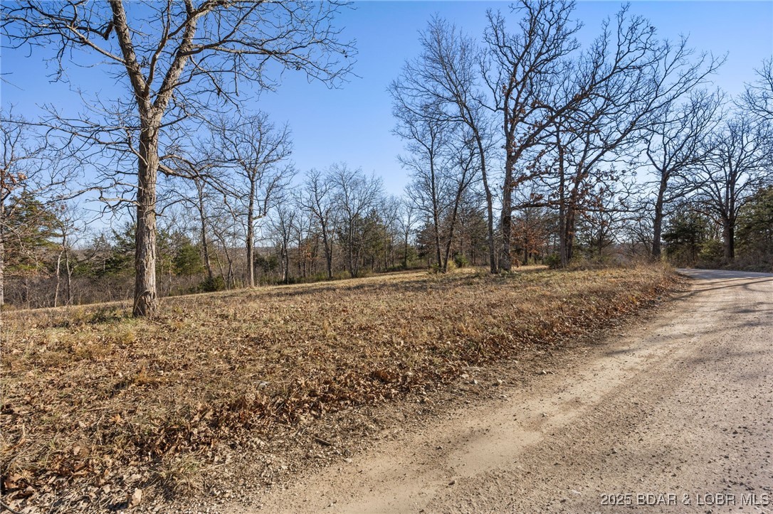 Brushy Fork Road Iberia, MO 65486 - Photo 12 of 12
