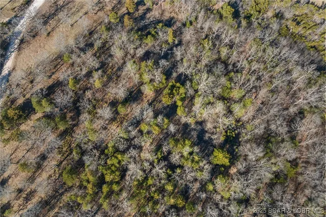 $29,000 | Brushy Fork Road, Iberia, MO 65486