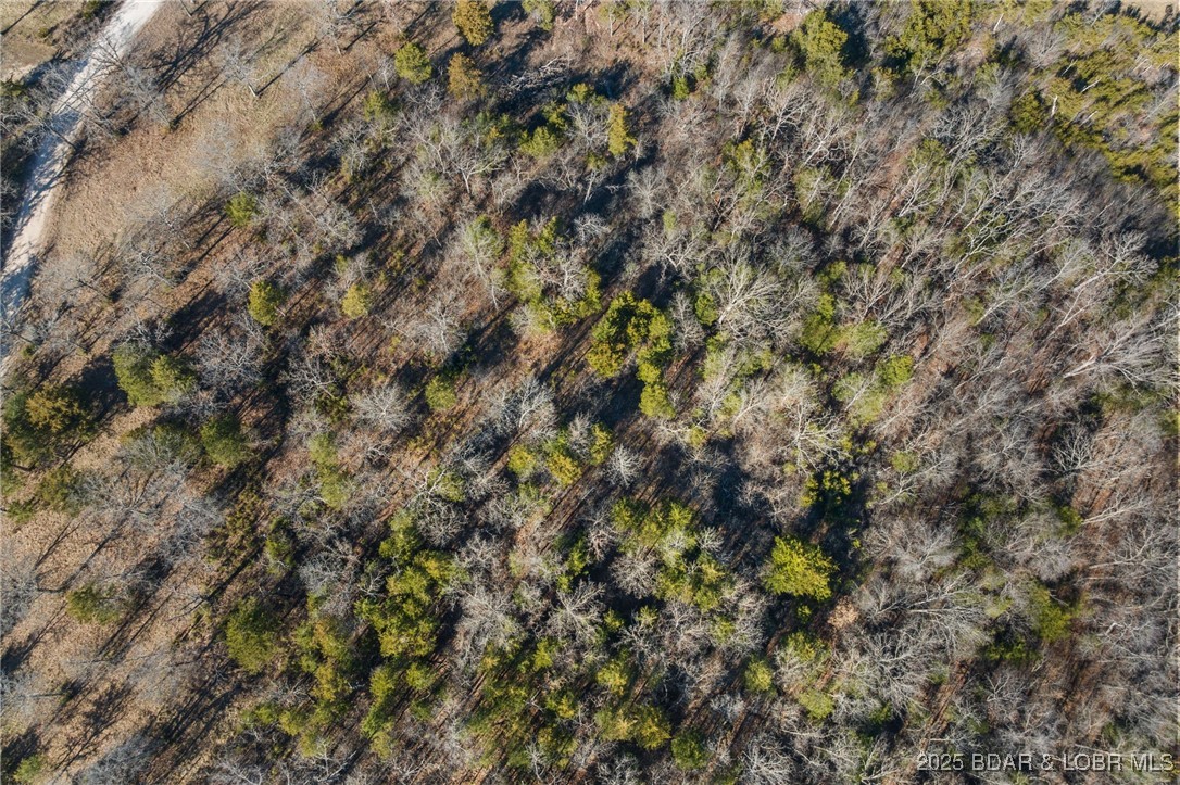 Brushy Fork Road Iberia, MO 65486 - Photo 6 of 12