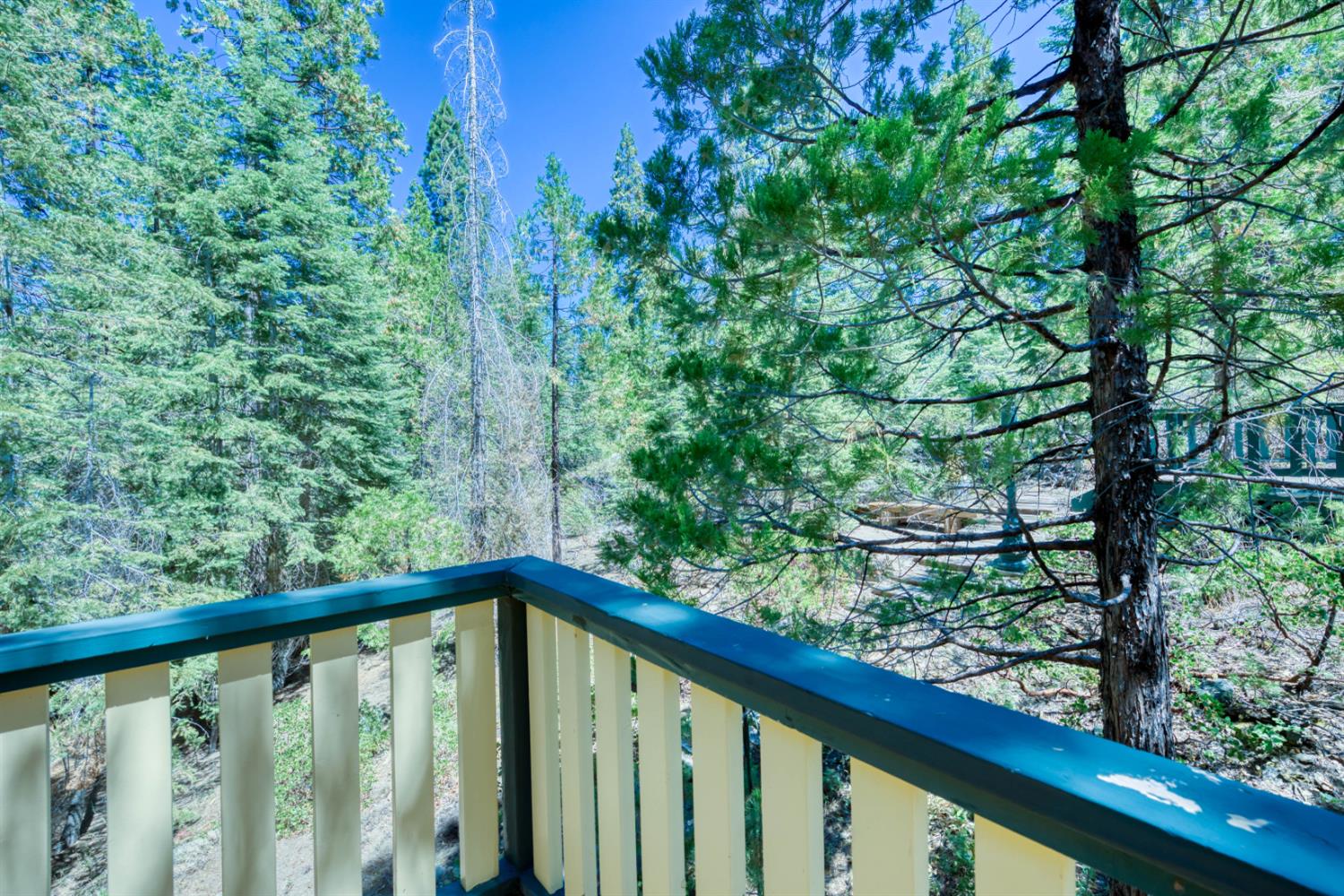 42025 Tollhouse Road Shaver Lake, CA 93664 - Photo 47 of 64 View from Studio deck
