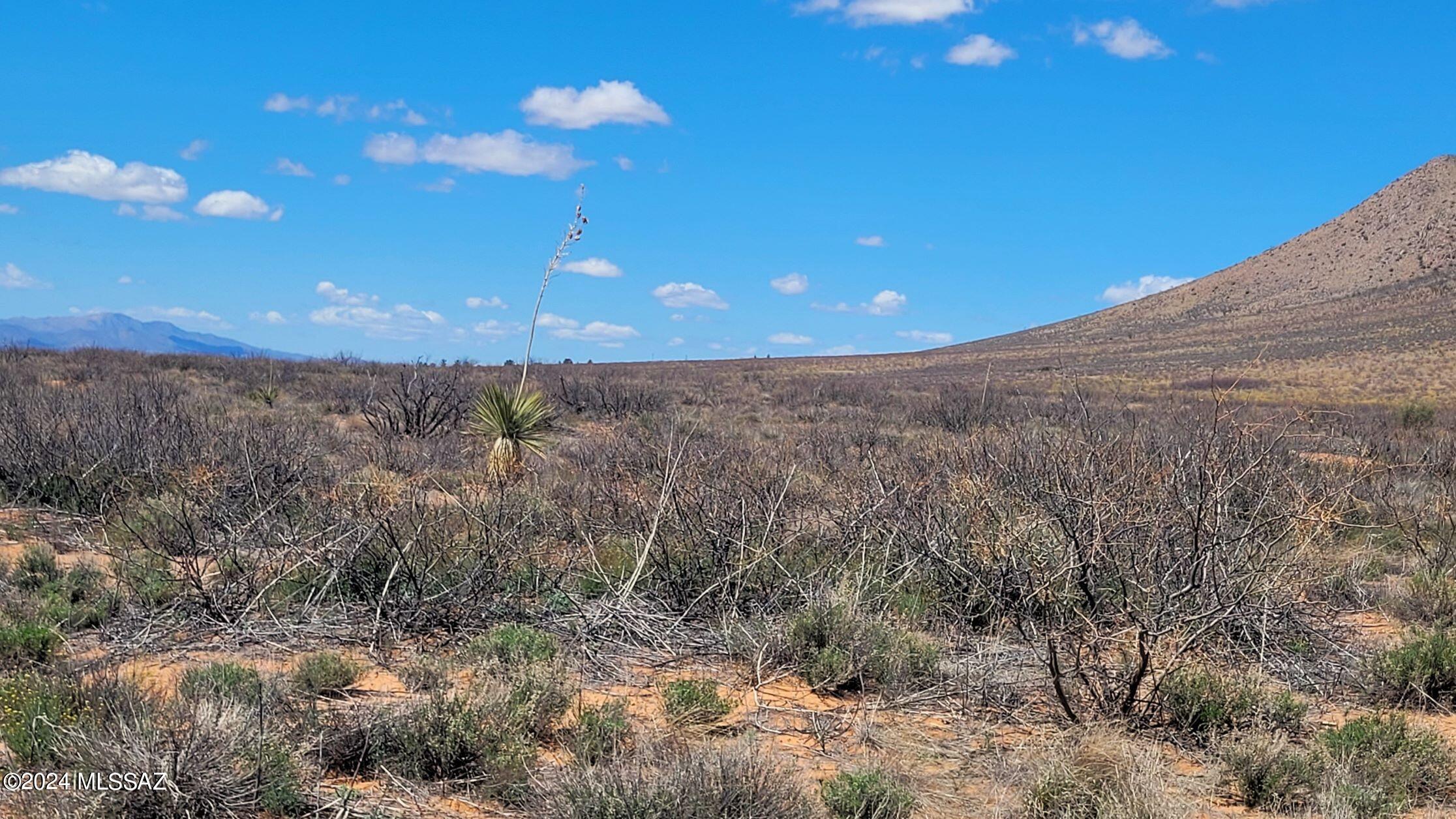 20 Ac Off Mule Deer Road Pearce, AZ 85625 - Photo 15 of 19