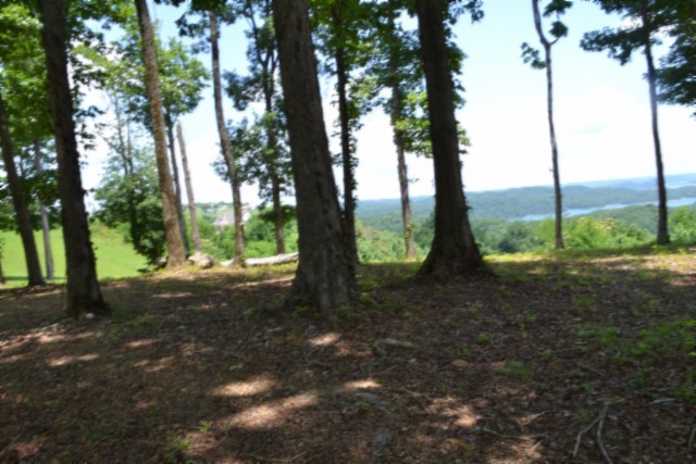 0 Rock Fish Road East Celina, TN 38551 - Photo 14 of 27