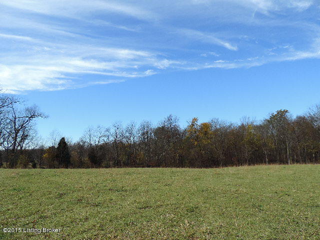 3098 Sulphur Road Sulphur, KY 40070 - Photo 13 of 48 3098 Sulphur Road 115