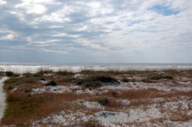 715 Swordfish Road Fripp Island, SC 29920 - Photo 3 of 11 Additional Photo
