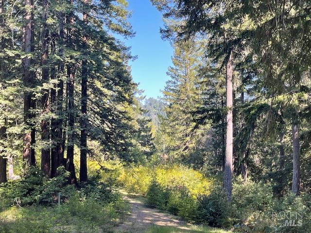 35905 Hauser Bridge Road, Unit J Cazadero, CA 95421 - Photo 11 of 34