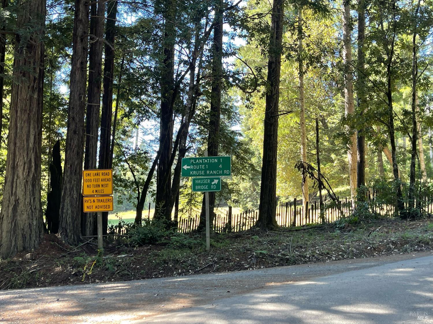 35905 Hauser Bridge Road, Unit J Cazadero, CA 95421 - Photo 32 of 34 a view of a park that has large trees