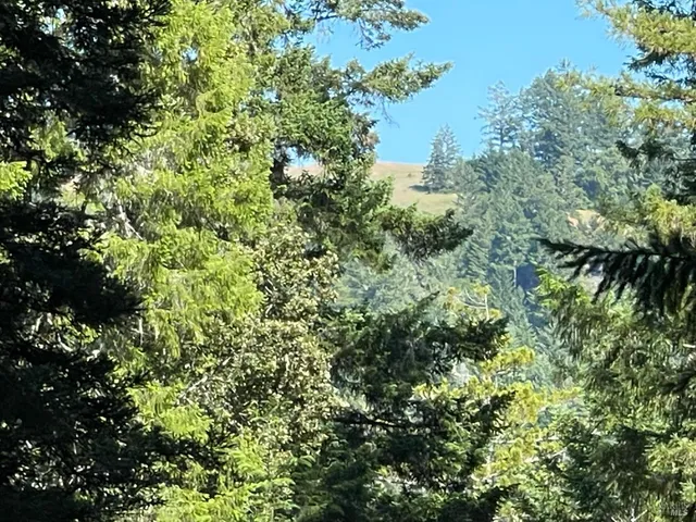 $309,000 | 35905 Hauser Bridge Road, Unit J, Cazadero, CA 95421