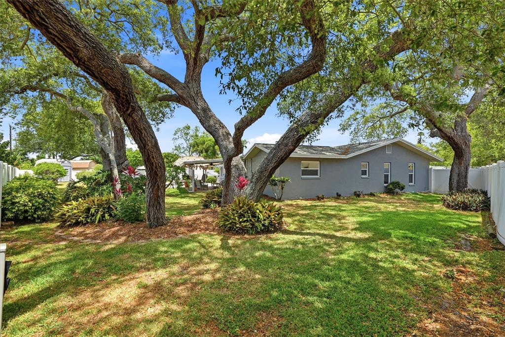 9760 136th Street Seminole, FL 33776 - Photo 8 of 41 a house is sitting in middle of the forest