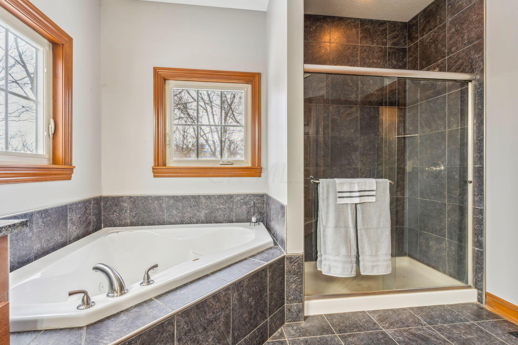 16159 Robinson Road Plain City, OH 43064 - Photo 40 of 87 Master bath 4