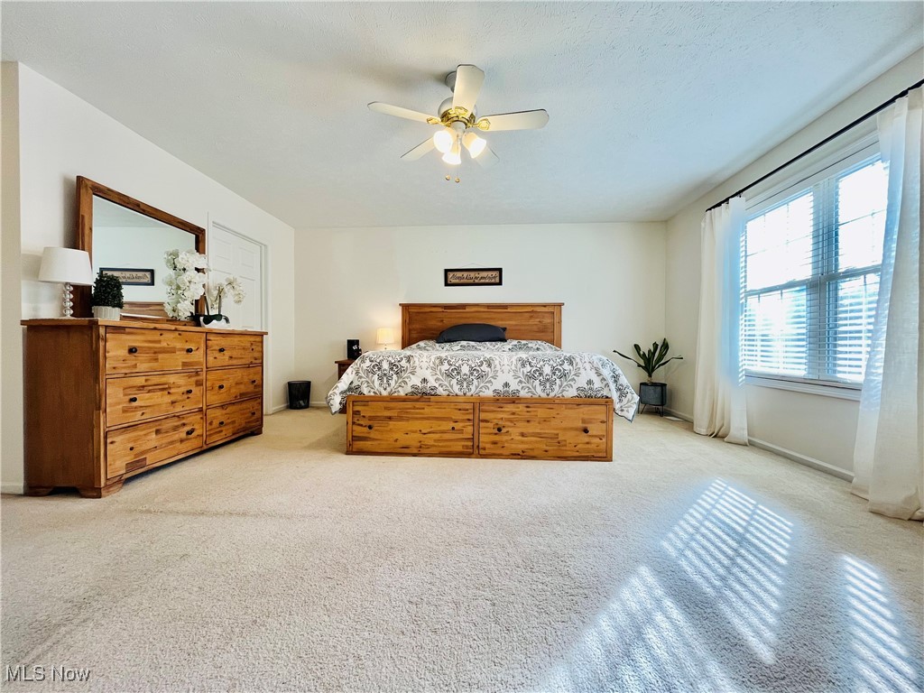 3811 Center Road Perry, OH 44081 - Photo 20 of 50 Bedroom with ceiling fan and carpet flooring