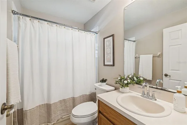 a view of a yard with trees