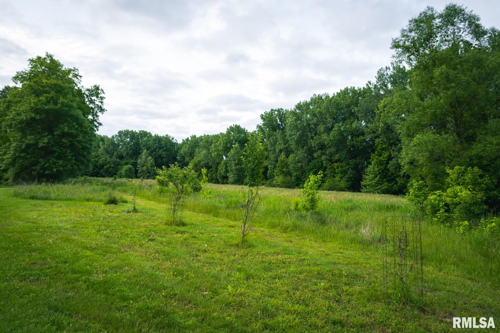 12481 Timber Ridge Godfrey, IL 62035 - Photo 69 of 98