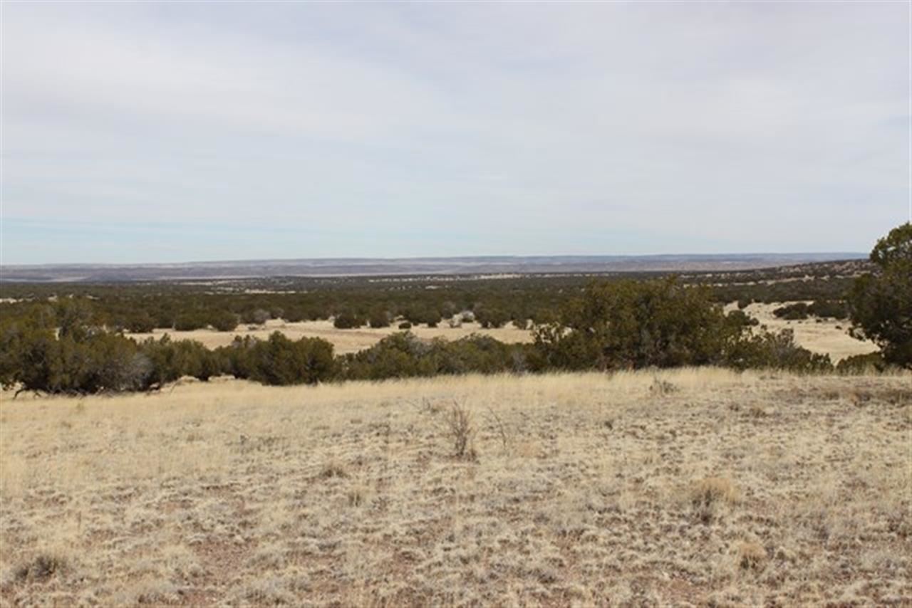 Lot 63 Elk Valley Ranch St. Johns, AZ 85936 - Photo 1 of 11