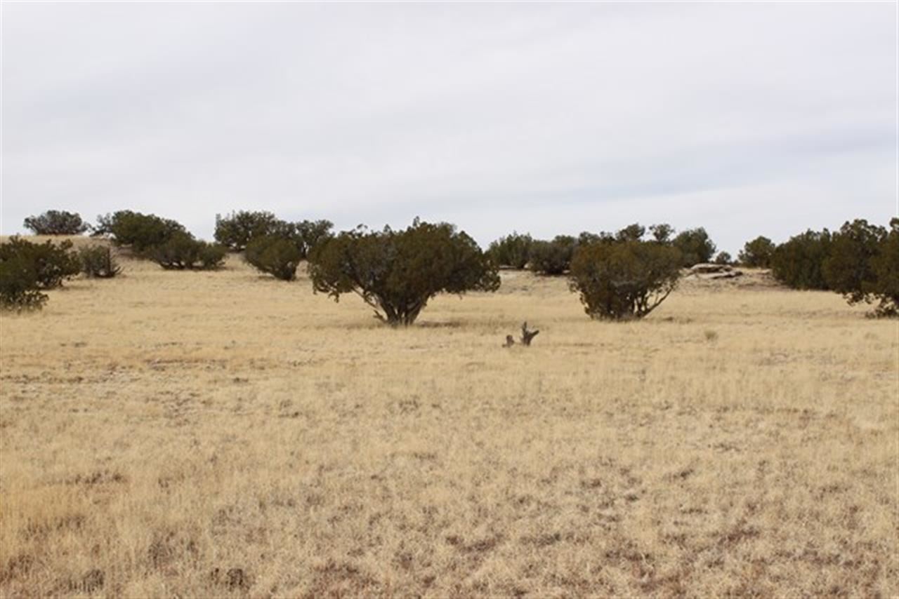 Lot 63 Elk Valley Ranch St. Johns, AZ 85936 - Photo 2 of 11