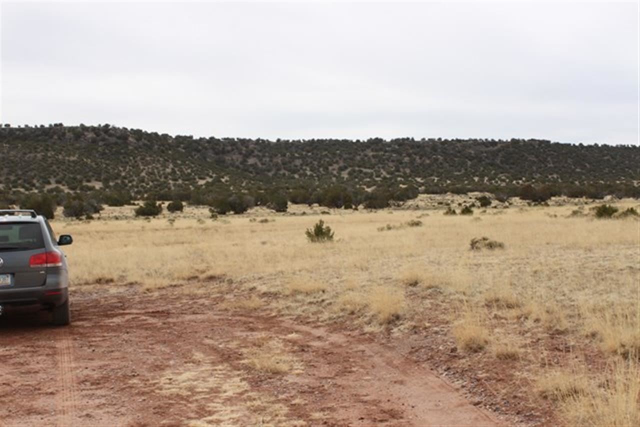 Lot 63 Elk Valley Ranch St. Johns, AZ 85936 - Photo 5 of 11