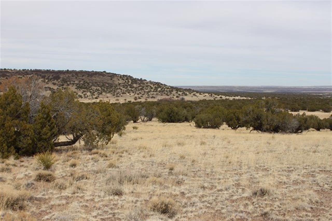 Lot 63 Elk Valley Ranch St. Johns, AZ 85936 - Photo 6 of 11