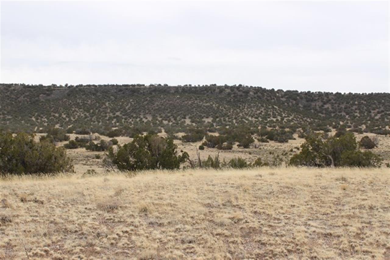Lot 63 Elk Valley Ranch St. Johns, AZ 85936 - Photo 7 of 11