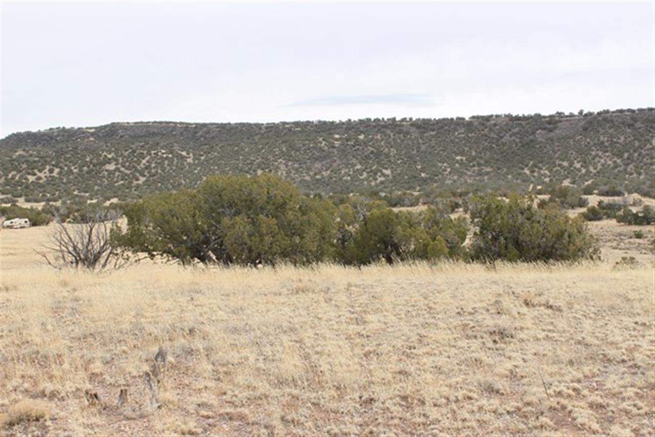 Lot 63 Elk Valley Ranch St. Johns, AZ 85936 - Photo 8 of 11