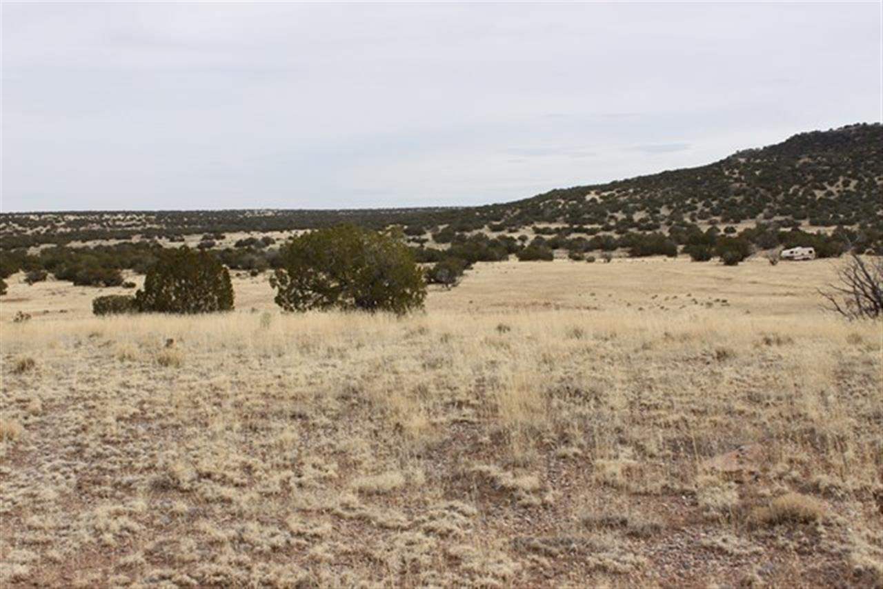 Lot 63 Elk Valley Ranch St. Johns, AZ 85936 - Photo 9 of 11