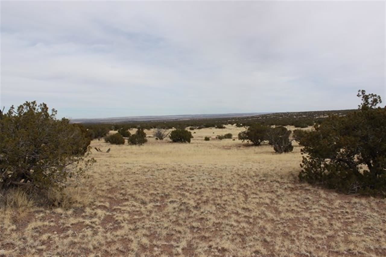Lot 63 Elk Valley Ranch St. Johns, AZ 85936 - Photo 10 of 11