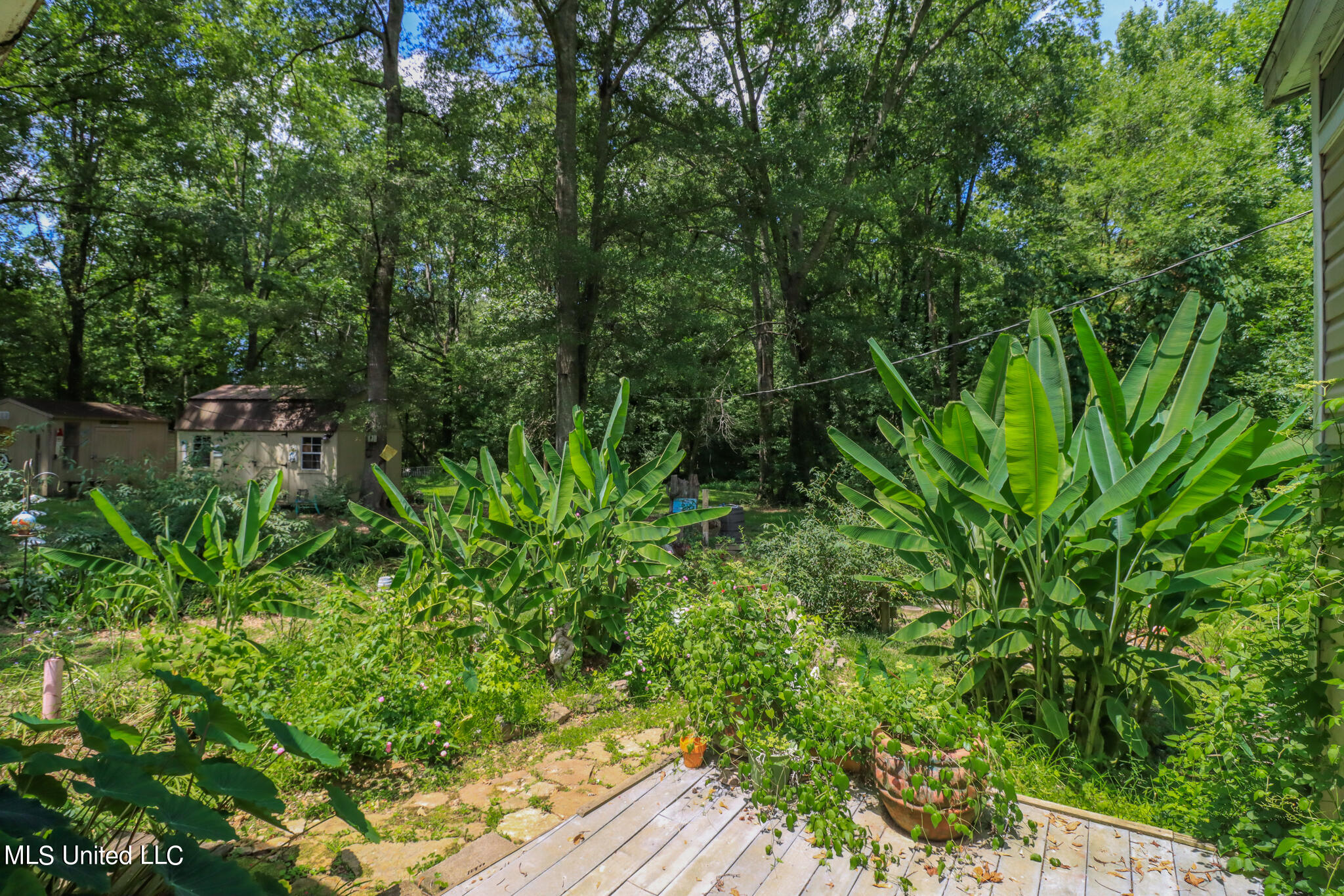 1605 Bill Downing Road Raymond, MS 39154 - Photo 34 of 35 1605 Bill Downing 41