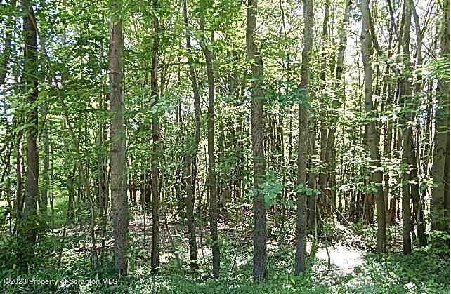 Howard Hill Road Hallstead, PA 18822 - Photo 2 of 7