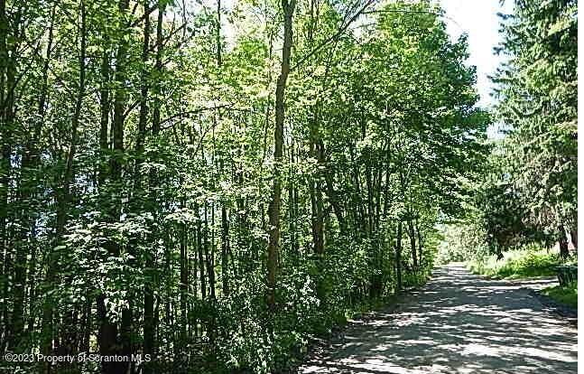 Howard Hill Road Hallstead, PA 18822 - Photo 3 of 7 a view of a yard with plants and trees