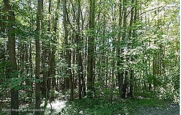 a view of a road with a yard