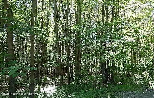 a view of a road with a yard