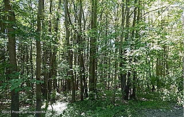 Howard Hill Road Hallstead, PA 18822 - Photo 5 of 7 a view of a yard with plants and large trees