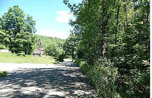 Howard Hill Road Hallstead, PA 18822 - Photo 6 of 7 a view of a road with a yard