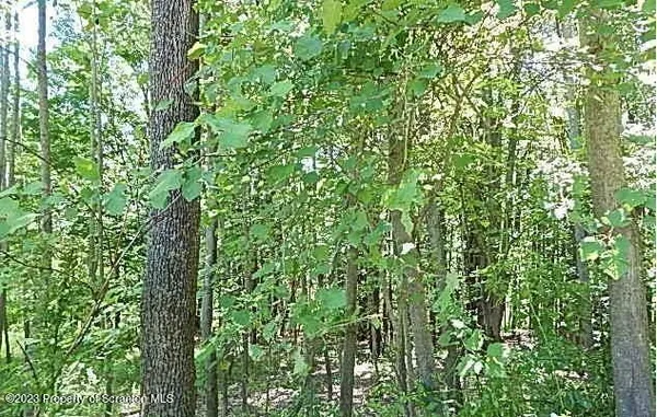 $12,500 | Howard Hill Road, Hallstead, PA 18822