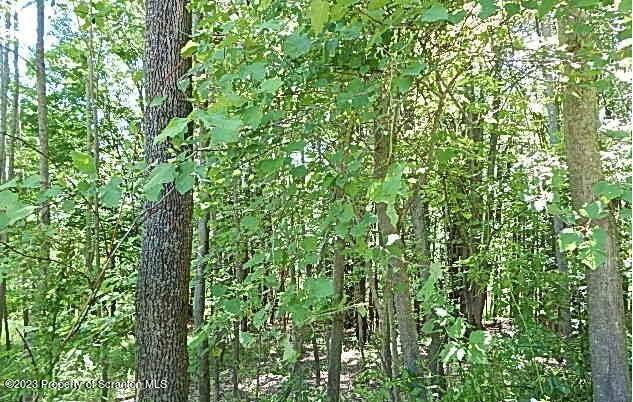 Howard Hill Road Hallstead, PA 18822 - Photo 7 of 7 a view of a lush green forest