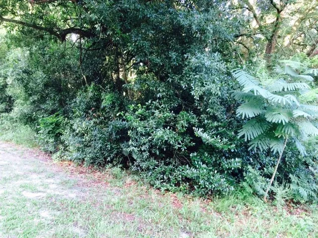 an aerial view of residential house with outdoor space and trees all around