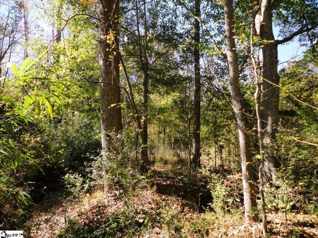 Berry Mill Road Greer, SC 29651 - Photo 3 of 8