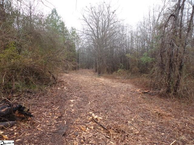Berry Mill Road Greer, SC 29651 - Photo 5 of 8