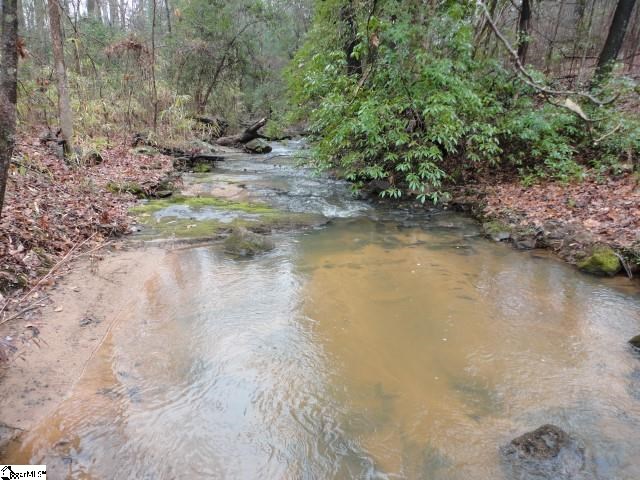 Berry Mill Road Greer, SC 29651 - Photo 6 of 8