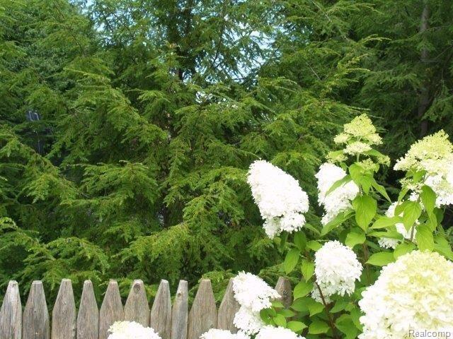 54 Moran Road Grosse Pointe, MI 48236 - Photo 31 of 37 Garden