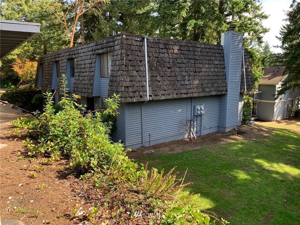 a view of a backyard with plants and large tree