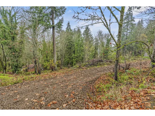 a view of outdoor space with trees